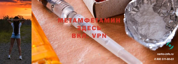 твердый Гусев
