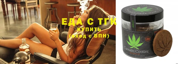 твердый Гусев