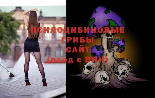 гидра Гусь-Хрустальный