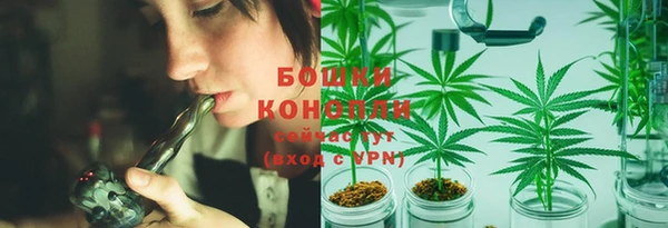 гидра Гусь-Хрустальный
