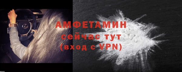 твердый Гусев