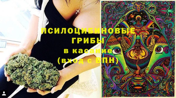 гидра Гусь-Хрустальный