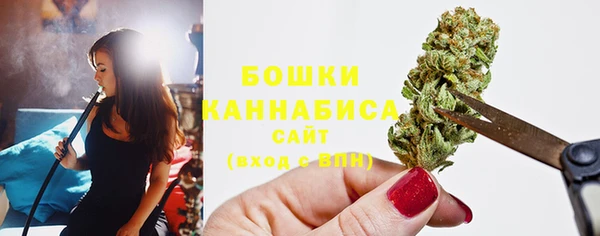 гидра Гусь-Хрустальный