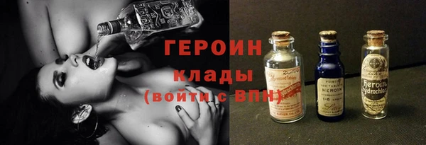 твердый Гусев