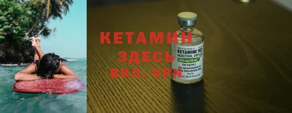 твердый Гусев