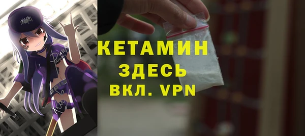 твердый Гусев