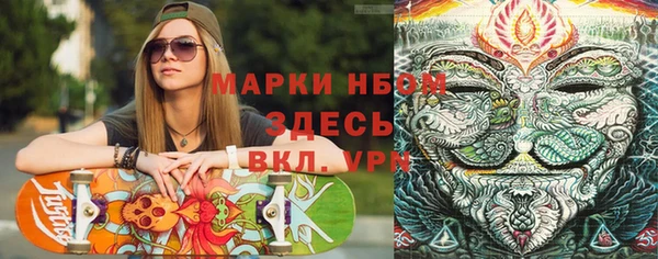 твердый Гусев