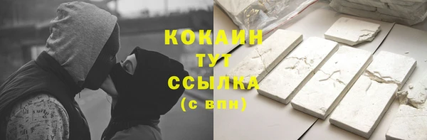 гидра Гусь-Хрустальный