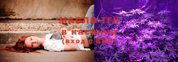 гидра Гусь-Хрустальный