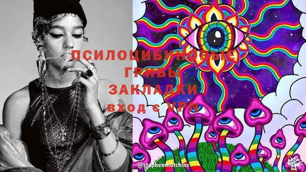 твердый Гусев