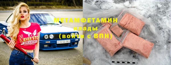 твердый Гусев