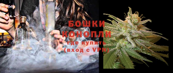 гидра Гусь-Хрустальный