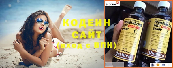 твердый Гусев
